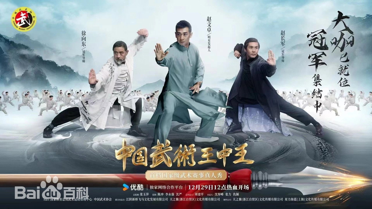 中国武术王中王剧照
