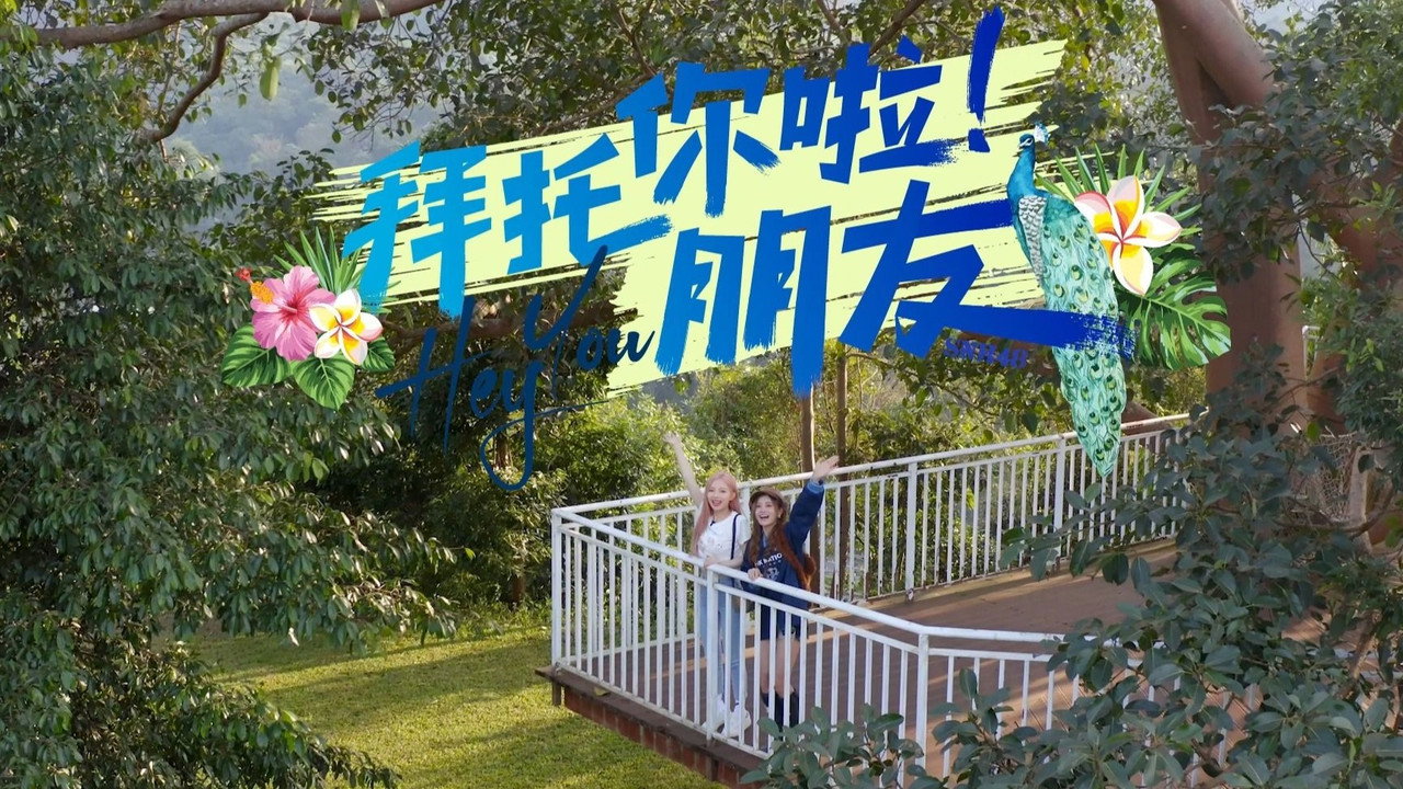 拜托你啦!朋友剧照