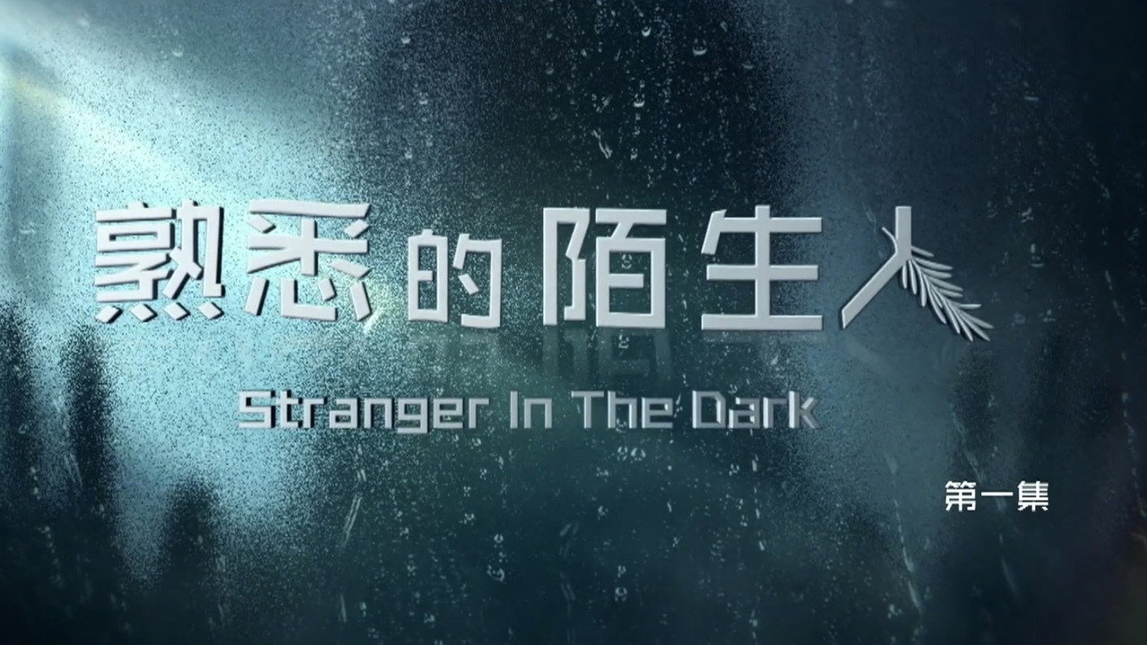 熟悉的陌生人剧照