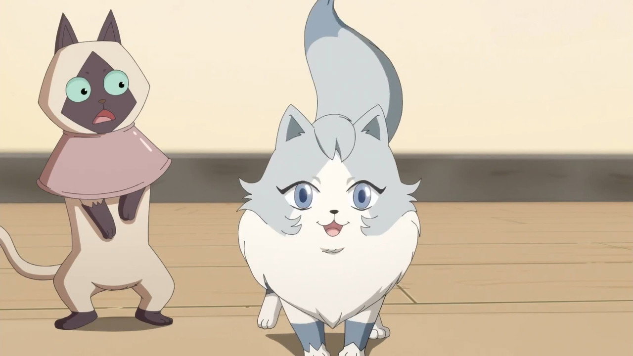 猫先动的手!剧照