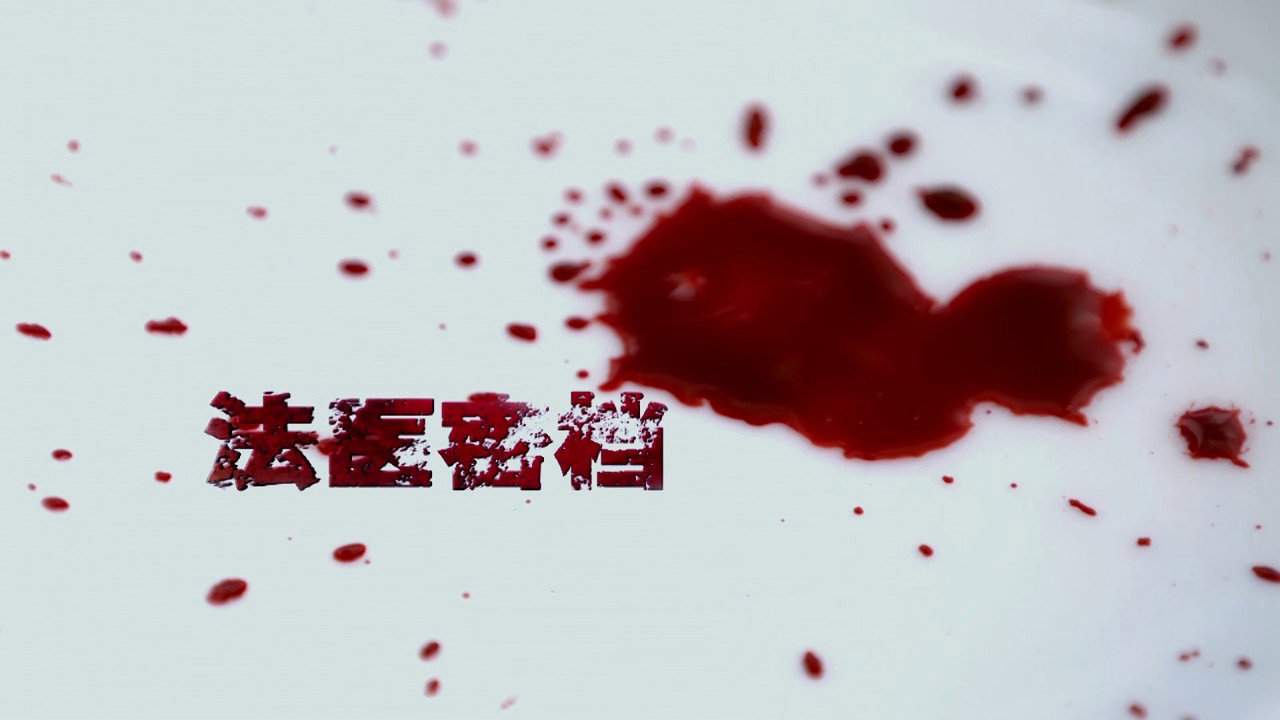 法医密档剧照