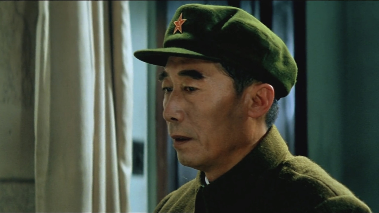 大进军2:南线大追歼剧照