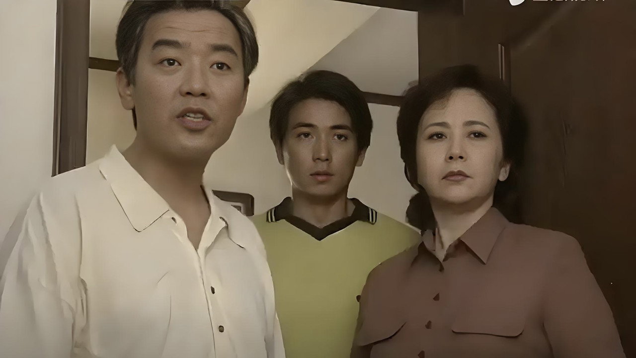 田教授家的二十八个保姆剧照
