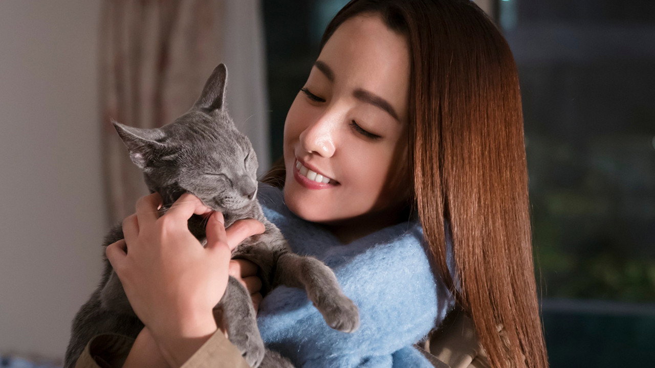 猫是要抱着的剧照