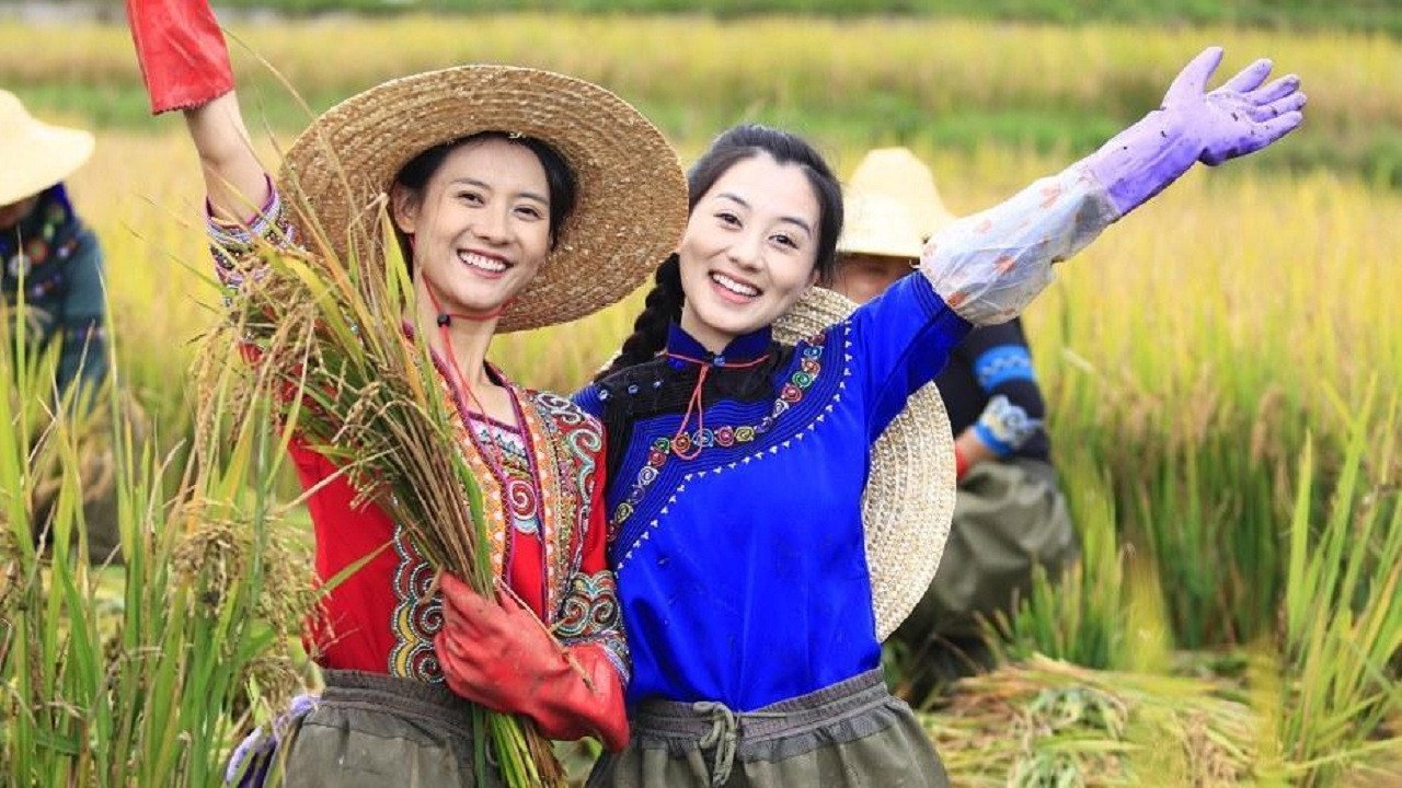 梯田姐妹剧照