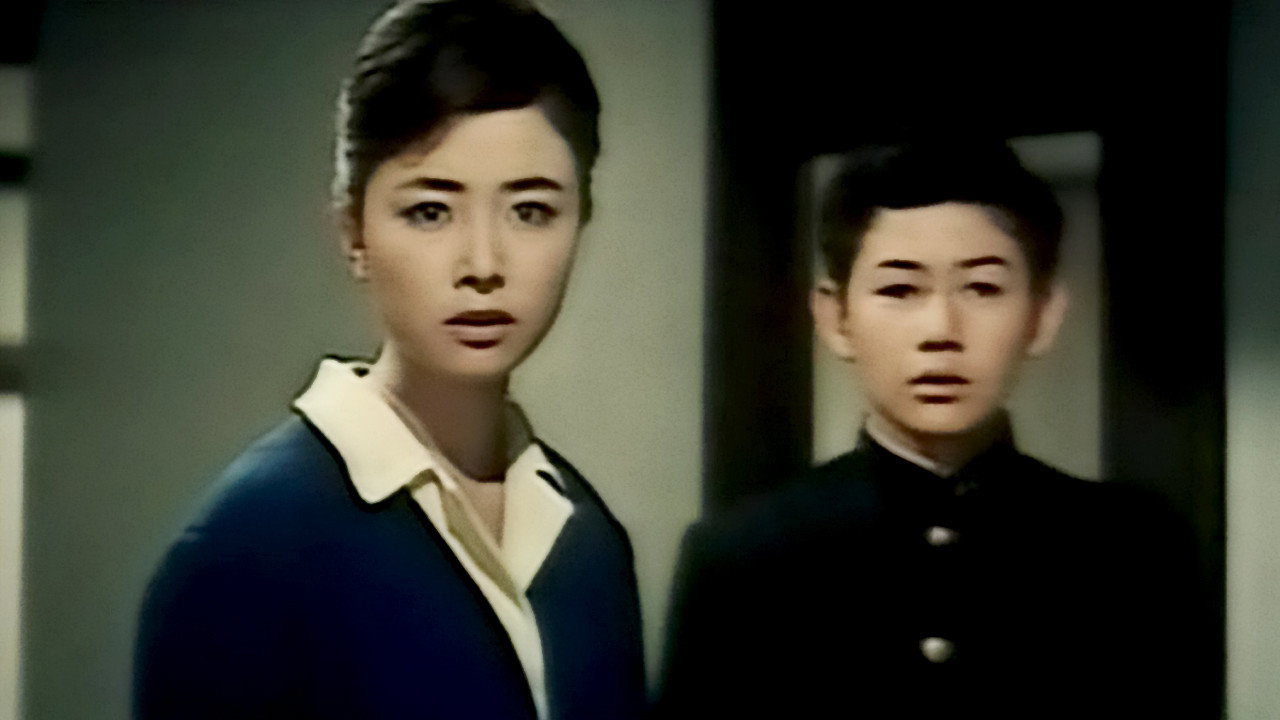 作为妻子,作为女人剧照