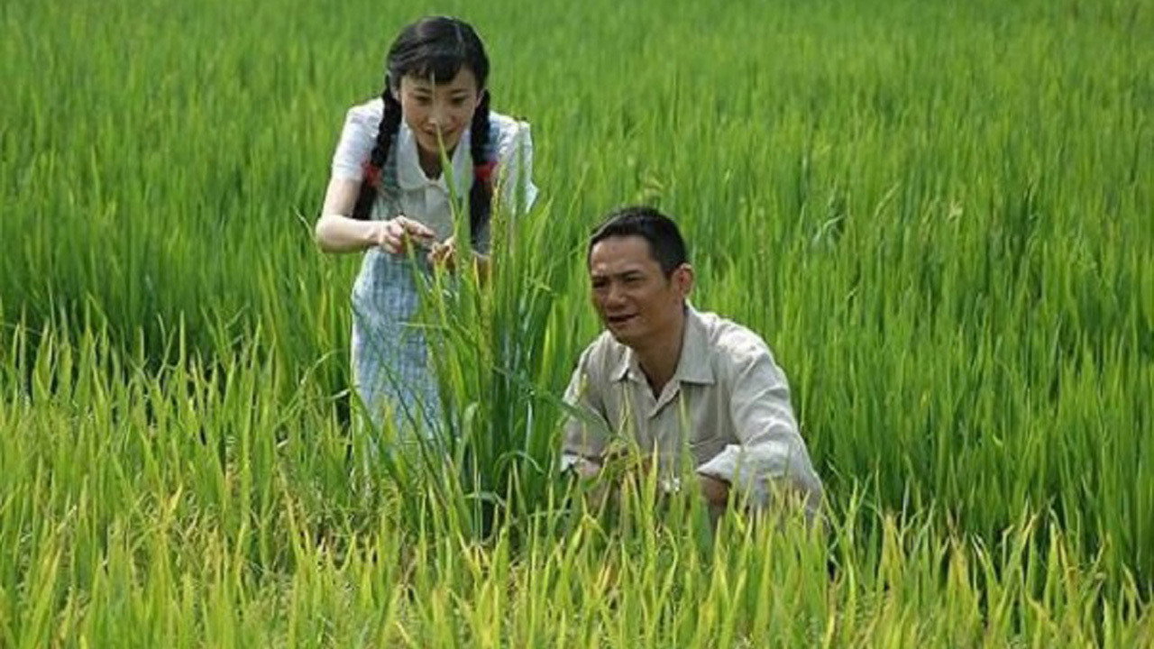 袁隆平剧照