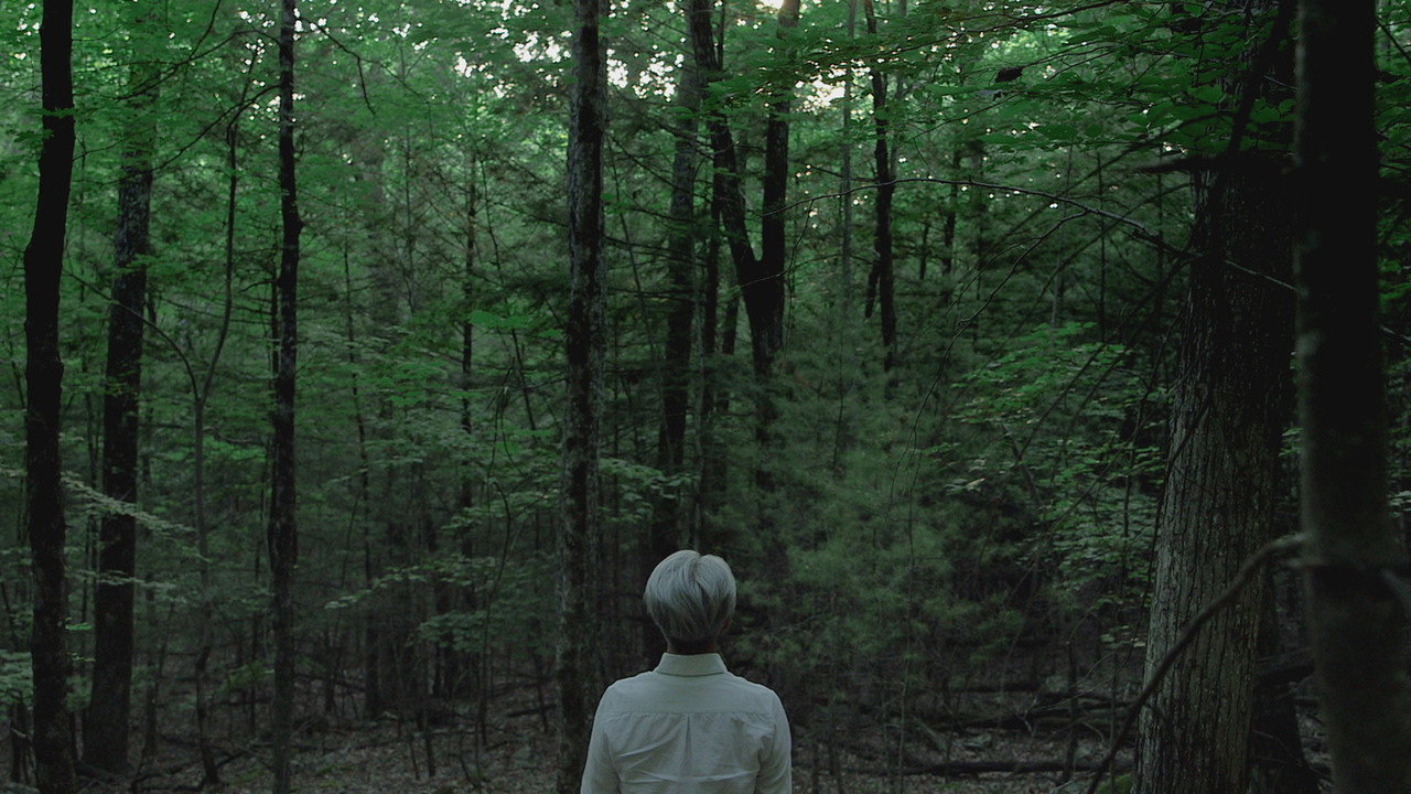 坂本龙一:终曲剧照
