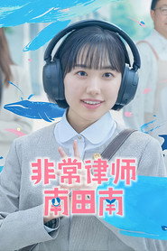 非常律师南田南海报