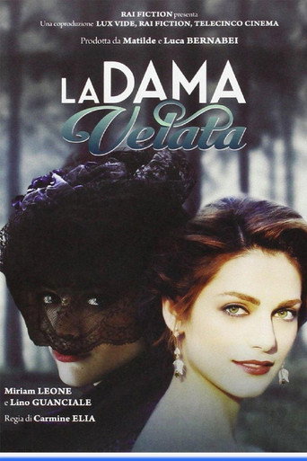 戴面纱的美人海报