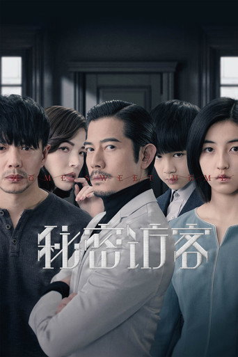 秘密访客海报