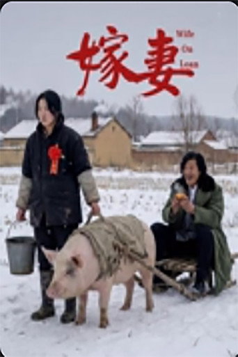 嫁妻海报