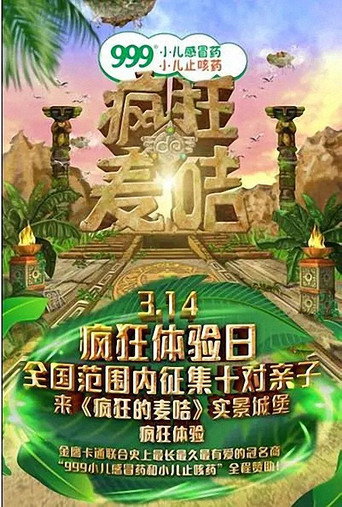 疯狂的麦咭海报