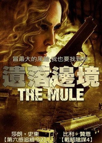 边境执行海报