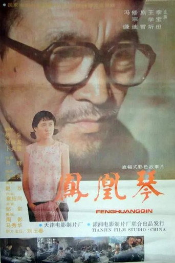 凤凰琴海报