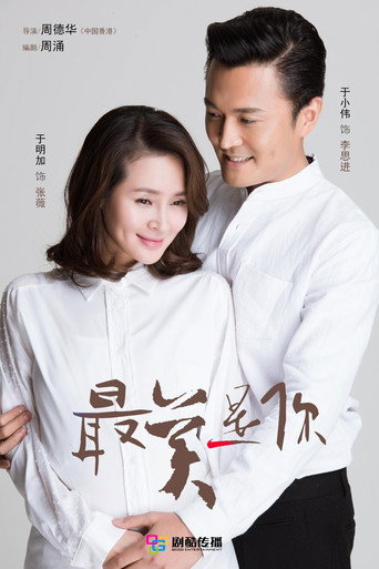 最美是你海报