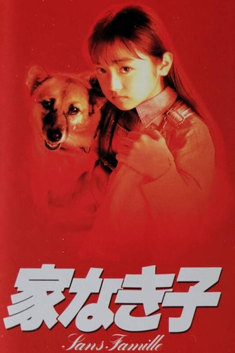 无家可归的小孩海报