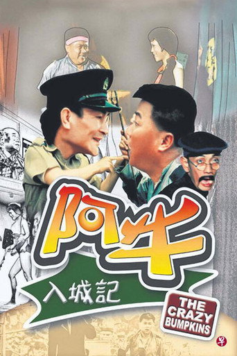 阿牛入城记海报