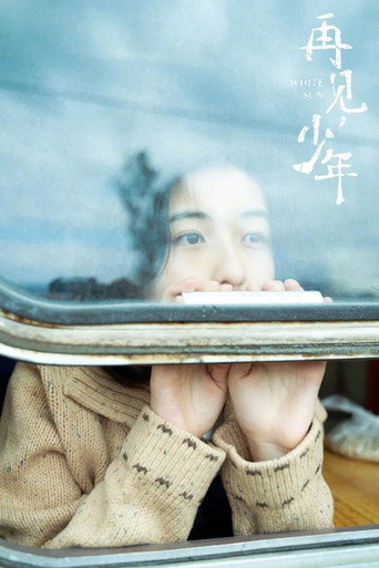 再见,少年海报
