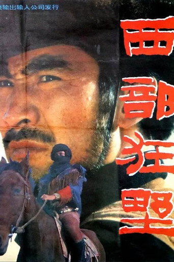 西部狂野海报