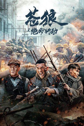 苍狼之绝命行动海报