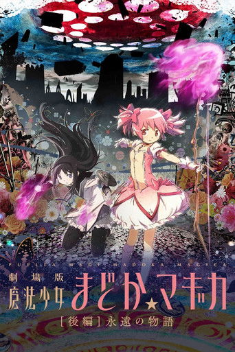 剧场版魔法少女小圆 后篇:永远的故事海报