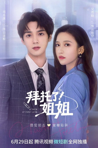 拜托了!姐姐 第 1 季海报