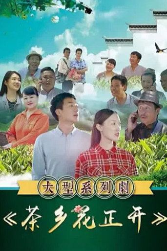 茶乡花正开海报