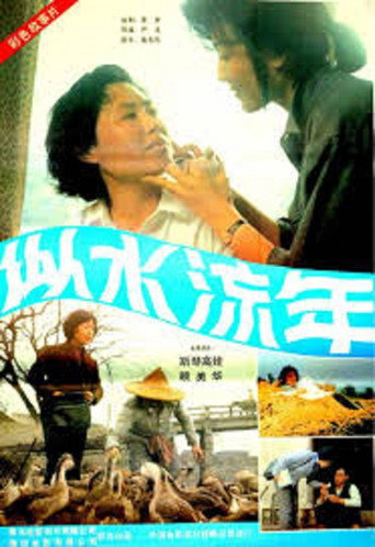 似水流年海报
