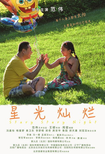 星光灿烂海报