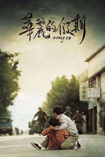 华丽的假期海报