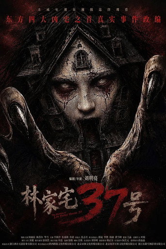 林家宅37号海报