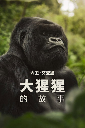 大卫·艾登堡:大猩猩的故事海报