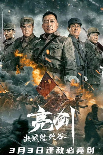 亮剑:决战鬼哭谷海报