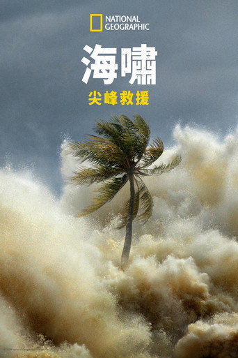 海啸:与时间赛跑海报