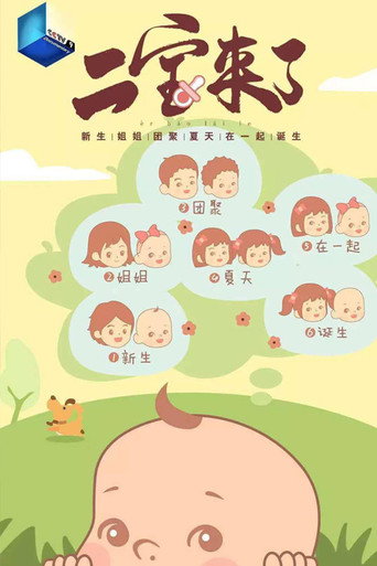 二宝来了海报