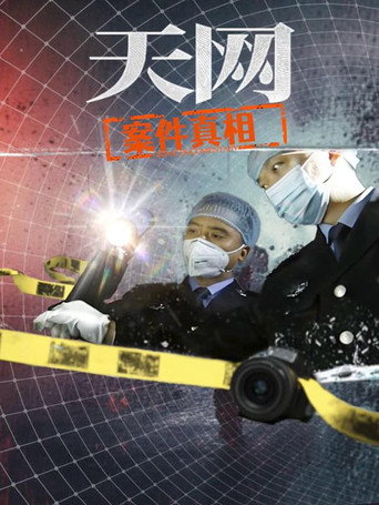 天网:罪案纪实 天网:案件真相海报