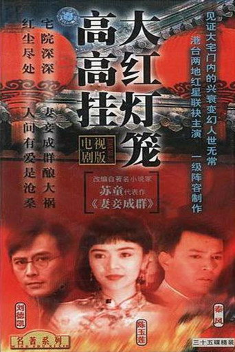 大红灯笼高高挂海报