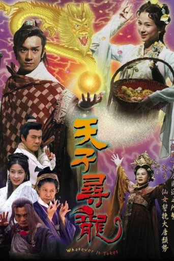 天子寻龙海报
