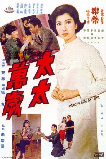 太太万岁海报