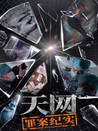 天网:罪案纪实海报