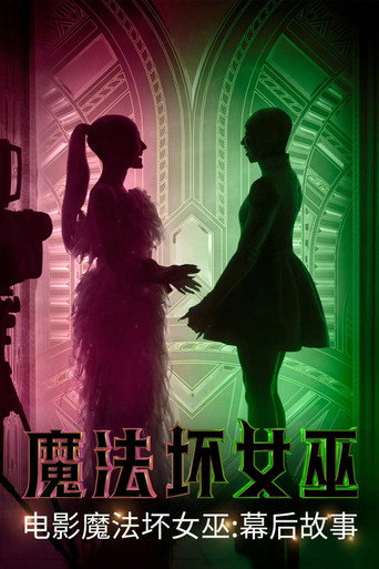 魔法坏女巫:幕后故事海报