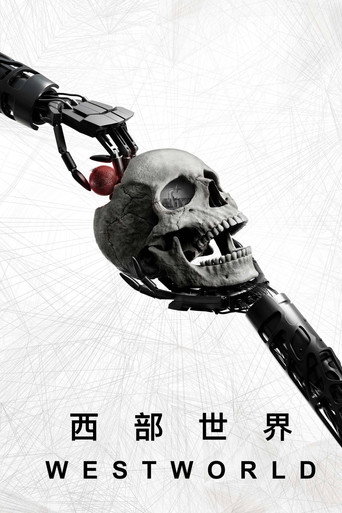 西部世界 第4季:选择海报