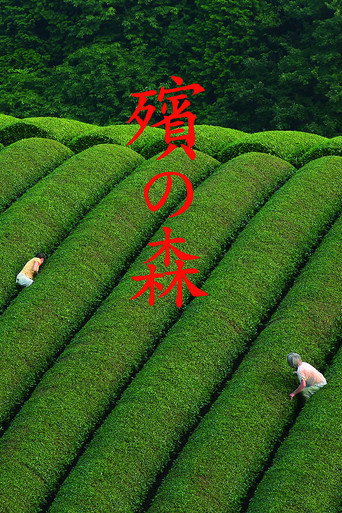 殡之森海报