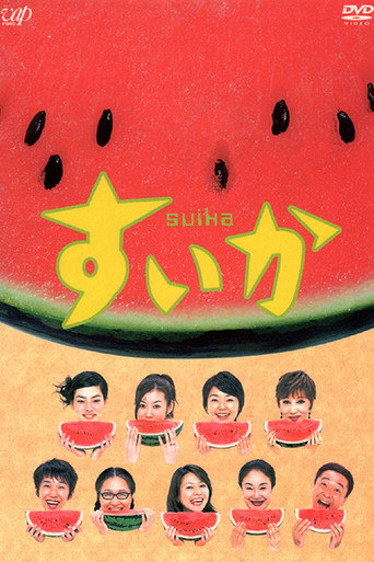 西瓜海报