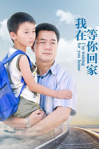 我在等你回家海报