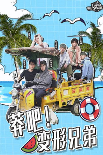 莽吧!变形兄弟海报