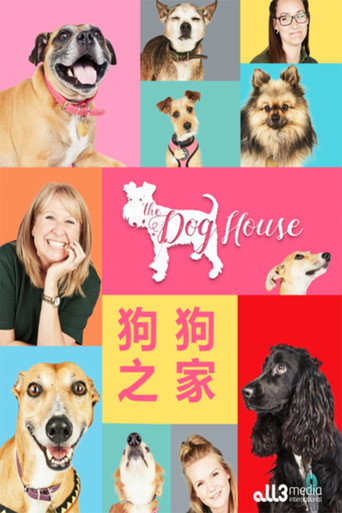 狗狗之家海报