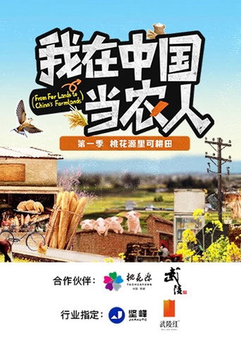 我在中国当农人海报