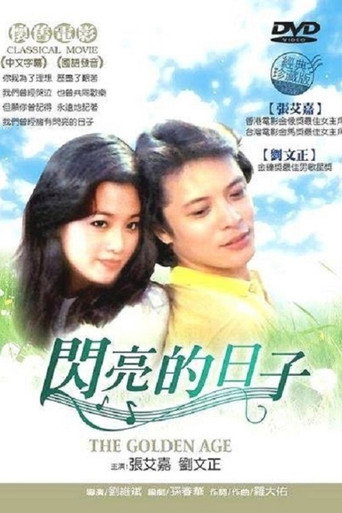 闪亮的日子海报